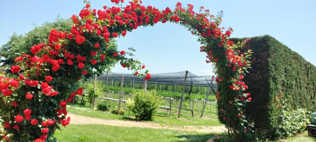 פררה Agriturismo Fondo Novelle La Casina מראה חיצוני תמונה
