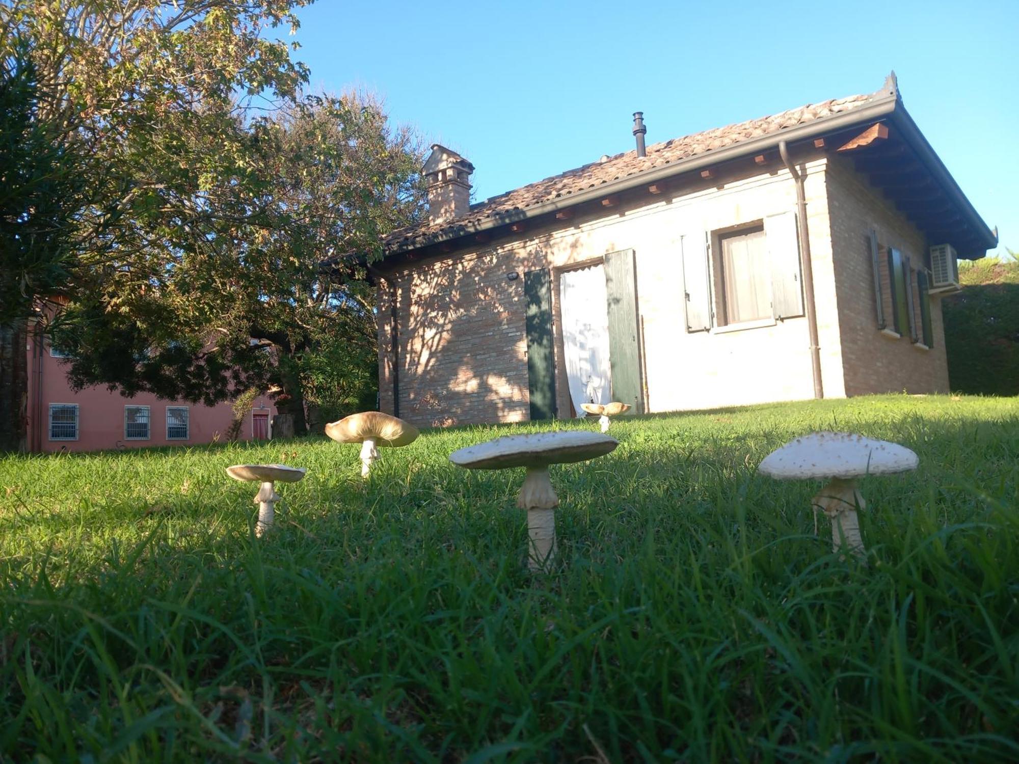 פררה Agriturismo Fondo Novelle La Casina מראה חיצוני תמונה